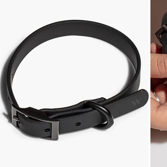 Wild Other - Wild large dog collar